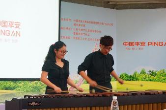 Marimba Performance