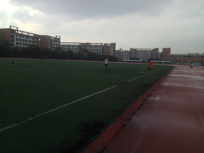 IMG_20170602_170742_1.jpg