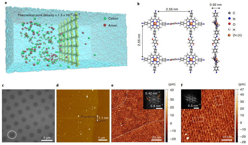 唐智勇/李连山 Nat Nanotechnol:实现单层COF膜盐差能转化新突破