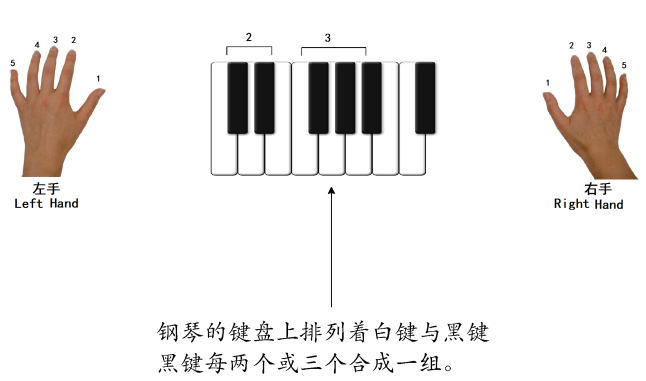 论中老年人钢琴初学阶段指法思维的构建刘丁张自晔