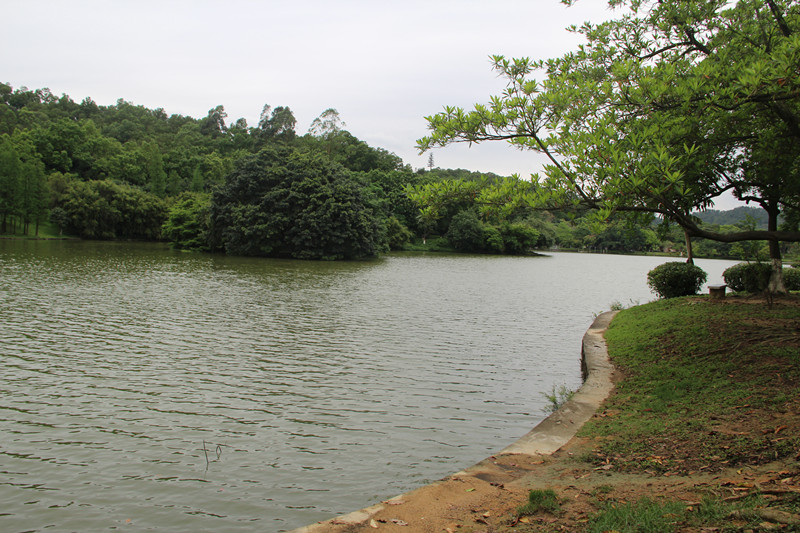 IMG_6092_副本.jpg