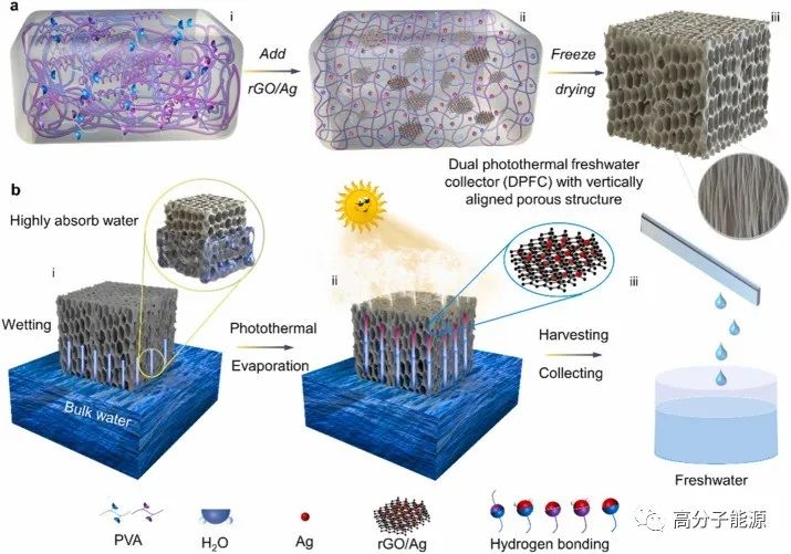 郑咏梅《nano energy》聚乙烯醇水凝胶冷冻干燥制备石墨烯气凝胶