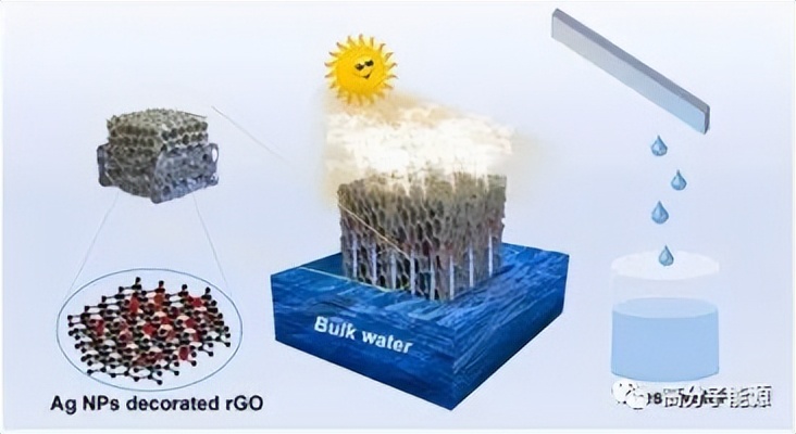郑咏梅《nano energy》聚乙烯醇水凝胶冷冻干燥制备石墨烯气凝胶