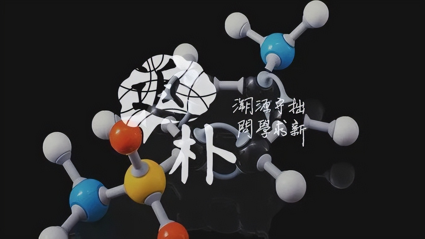 从论文搁浅到领域顶刊:一个博士生的涅槃