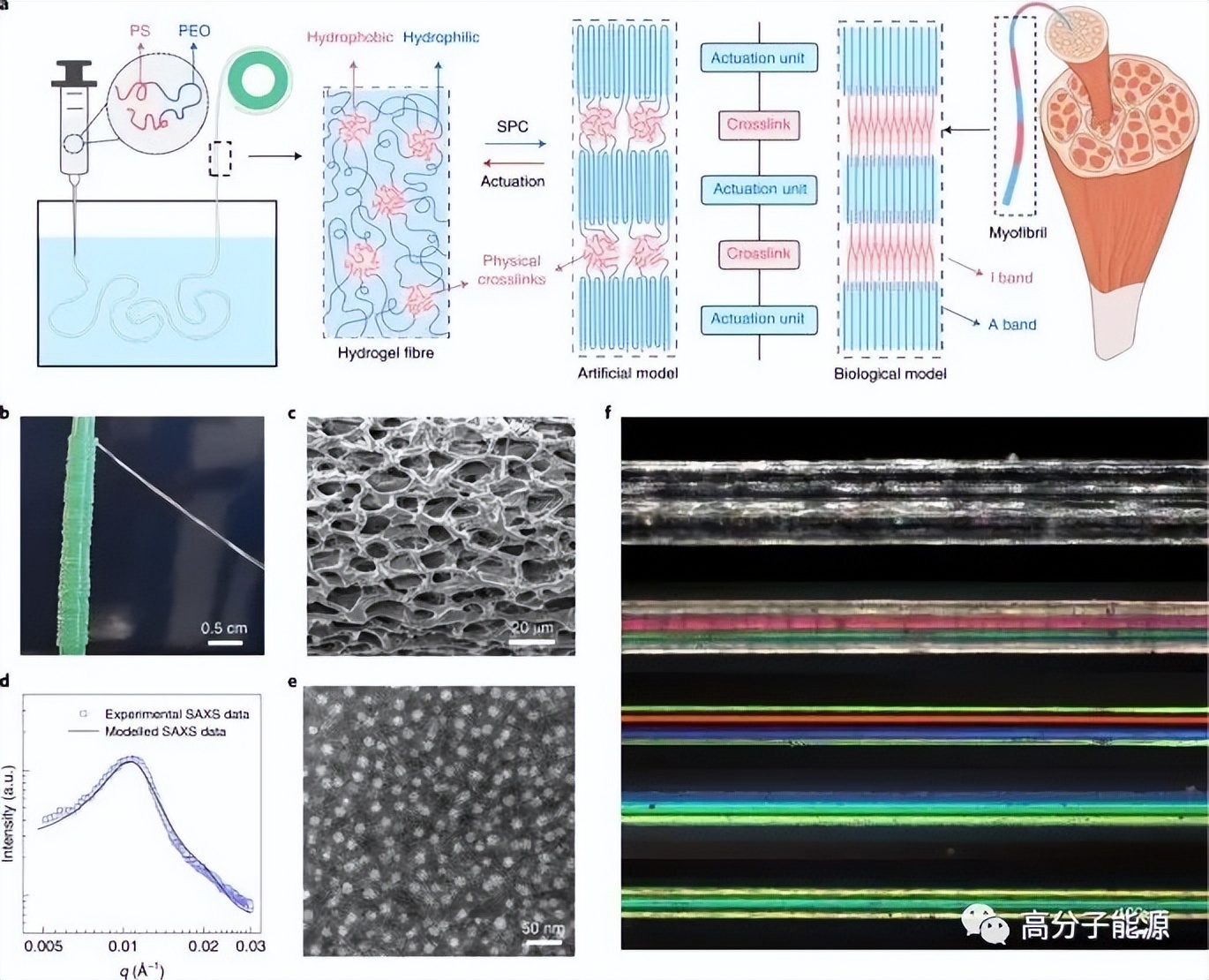 重磅《nature nanotechnology》中国学生一作：水凝胶纤维