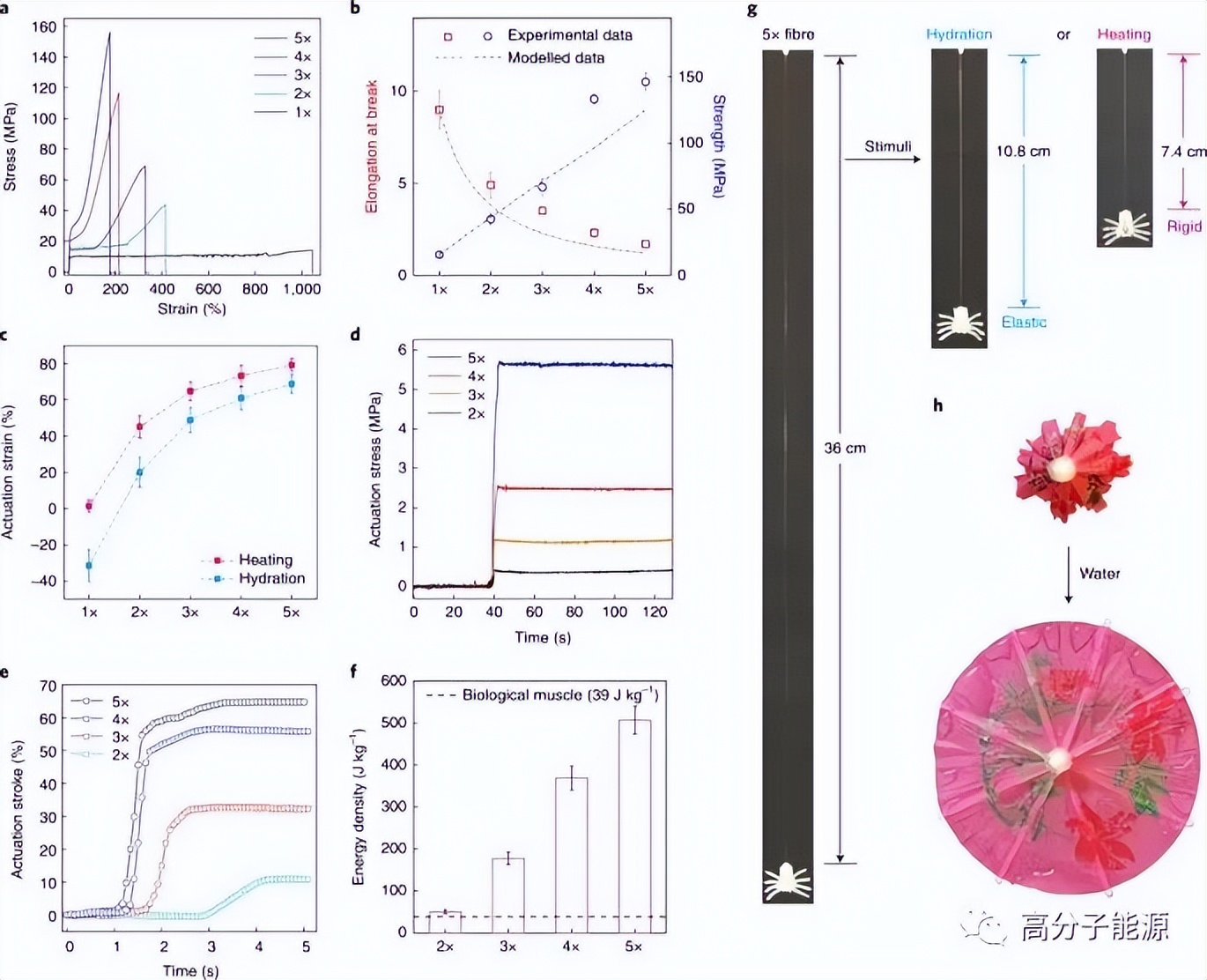 重磅《nature nanotechnology》中国学生一作：水凝胶纤维