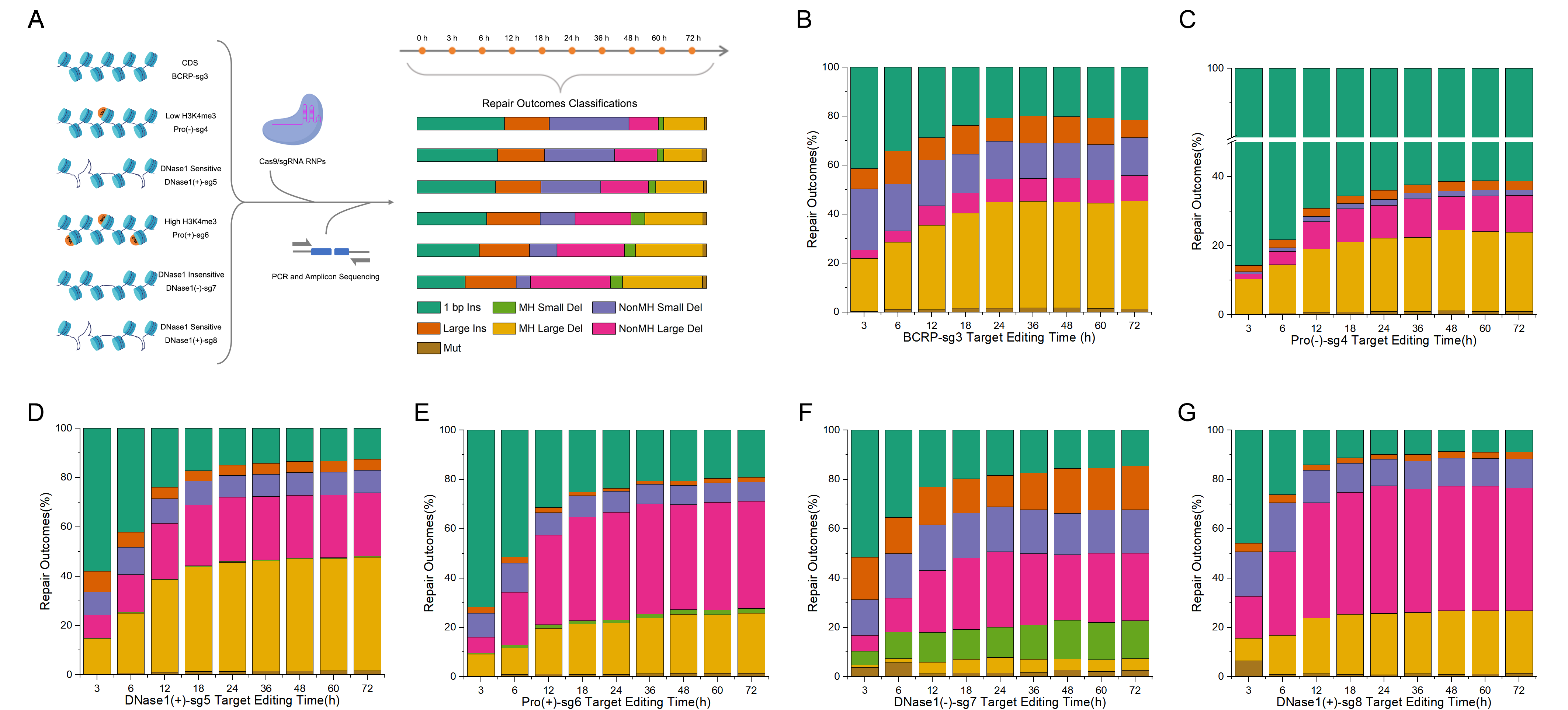 Huang Lizhen and Du Hongli’s joint team published in Nucleic Acids ...