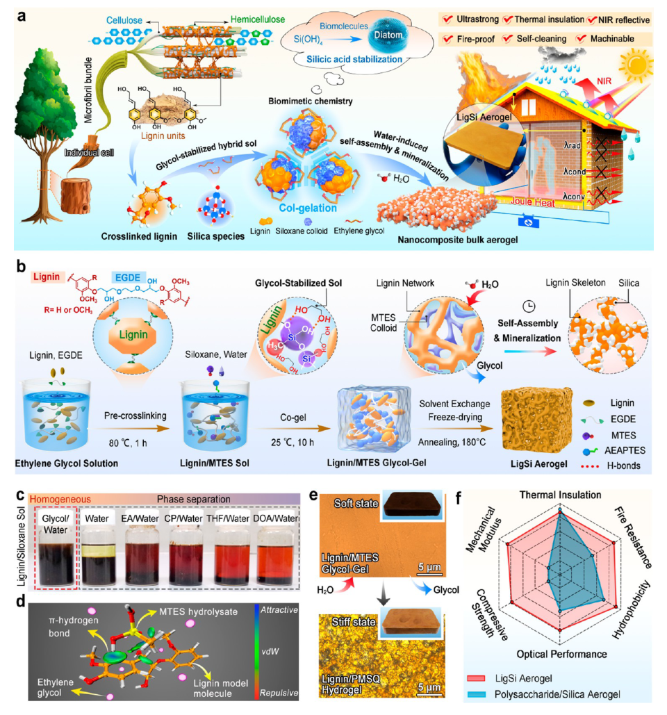 ACS Nano |华南农业大学王清文教授课题组:超强多功能隔热气凝胶