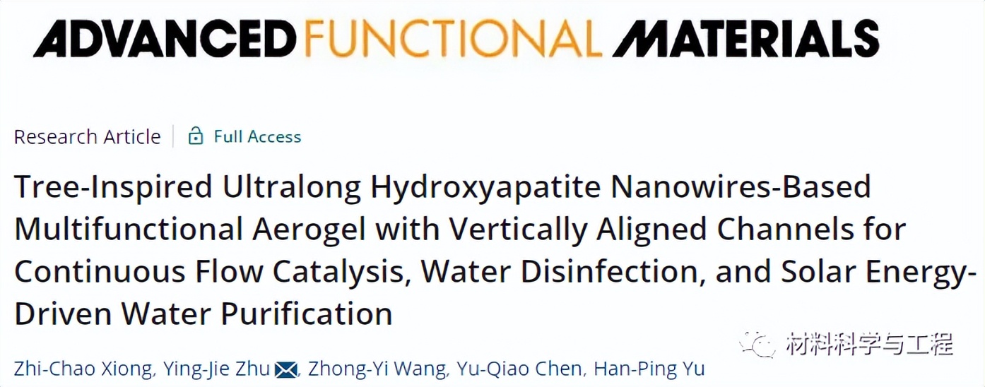 树木启发出一篇《AFM》!多功能气凝胶,可用于消毒净水