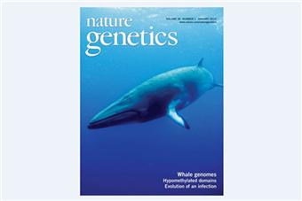 Cover of the journal