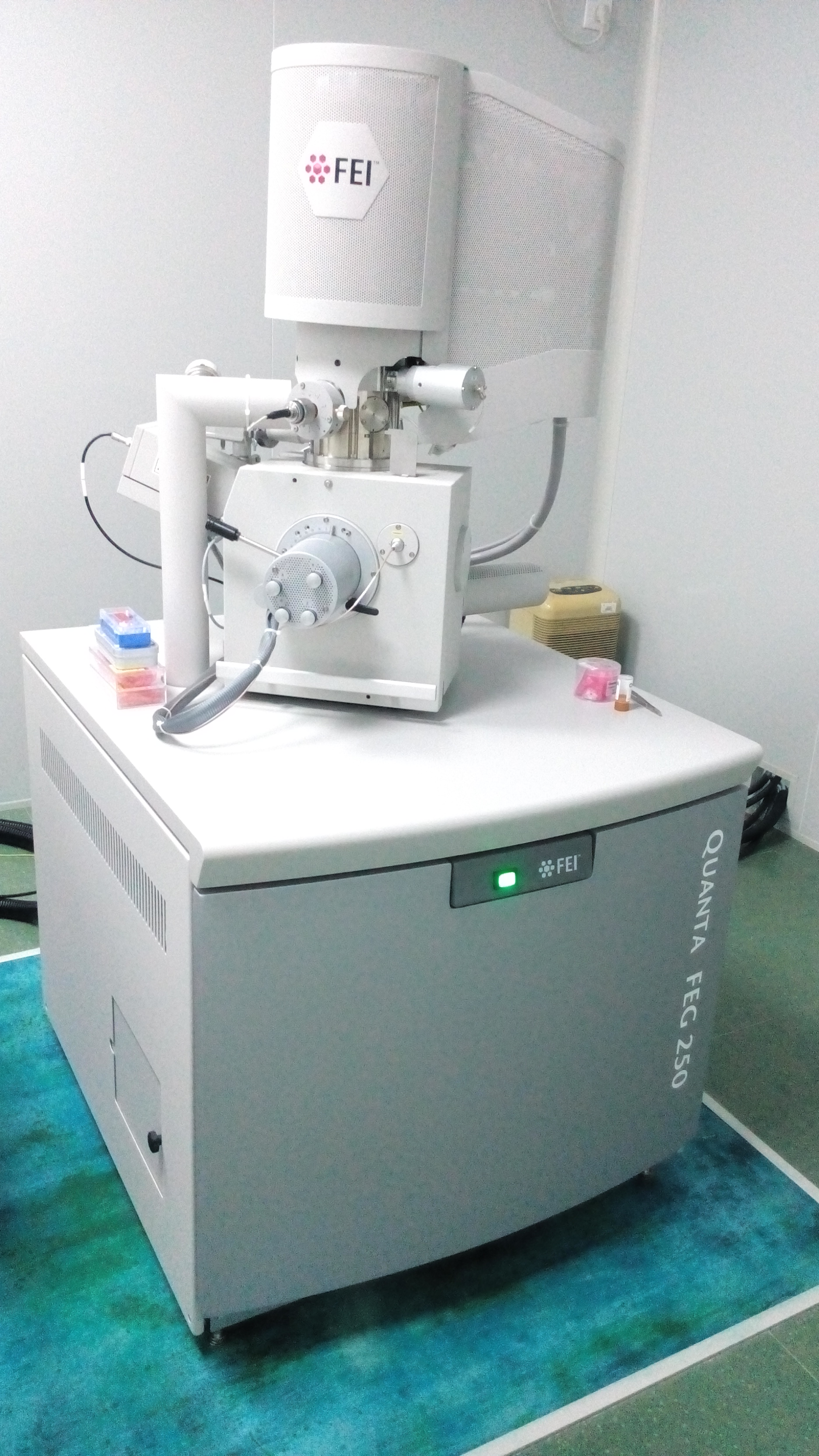 fei quanta feg 250场发射扫描电子显微镜